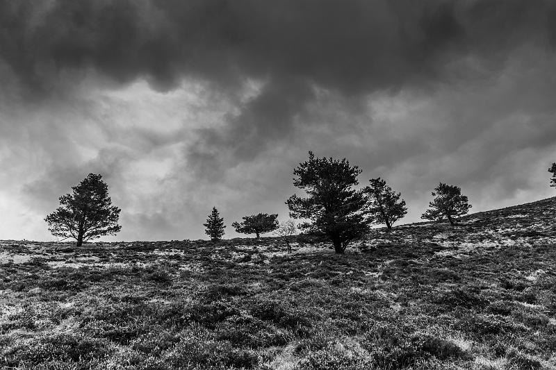 2019_05_03_Auvergne (0043).jpg - Depuis le puy Pariou (Mai 2019)